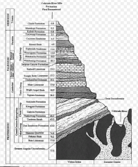 Sedimentary, these can be made of skeletons and/or shells of sea creatures. The layers of sedimentary rocks can be dated, they give the stratigraphic column.