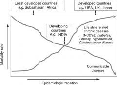 Epidemiological Transition Model