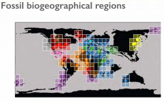 They can show us different biogeographical regions and be used for biogeographical reconstructions.