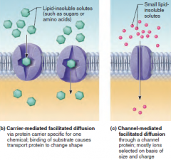 Kinetic energy 
Same as simple diffusion, but the diffusing substance is attached to a lipid-soluble membrane CARRIER PROTEIN(carriermediated facilitated diffusion) or moves through a membrane channel (channelmediated facilitated diffusion) Gluco...