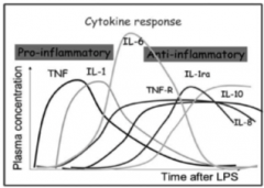 Because of homeostasis, waves of pro-inflammatory cytokines (TNF-α, IL-1, IL-6) are followed by anti-inflammatory cytokines (IL-10) and antagonists of pro-inflammatory cytokines (TNF-R, IL-1ra) that take over and cause immune suppression or paral...