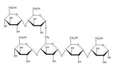 What molecule is this?