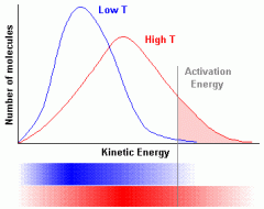 -Distribution of energies amongst the particles 
-Concentration raises the second curve ^^ 
-Catalyst increases eA