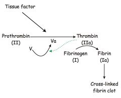 Antithrombin III combined with heparin like cofactor inactivates thrombin.