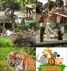 동물원