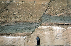 movement of two bodies of rock in different directions along a fault, causes brittle deformation (fracturing)