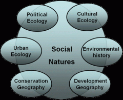 cultural ecology