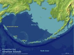 
volcanic island arc in Alaska where Pacific Plate subducts under North American Plate