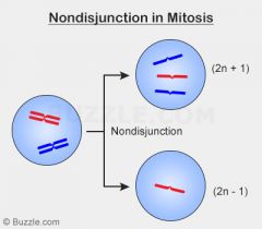 The failure of one or more pairs of homologous chromosomes or sister chromatids to separate normally during nuclear division