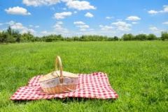 tener un picnic
