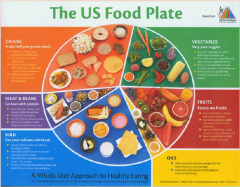2. The US Food Plate