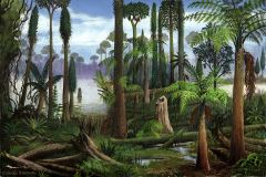 ~380 MYA 
(Paleozoic), land plants abundant, as they die and decay form coal swamps (the coal we have today comes from fossilized organic material)