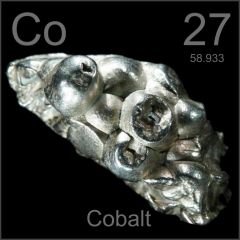 12. Trace elements are minerals that are required in small amounts: [COBALT] (component of vitamin B12).