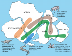 forms ~280 MYA (Paleozoic), plates collide creating massive mountains and one massive continent, species spread