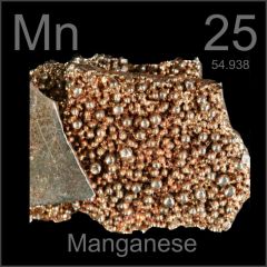 14. Trace elements are minerals that are required in small amounts: Manganese