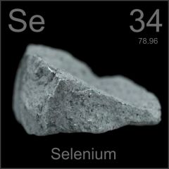 15. Trace elements are minerals that are required in small amounts: Selenium