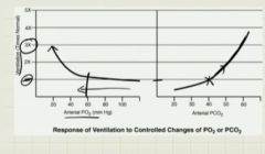 PCO2, increase 10 mm Hg from 40 > 50 (Ventilation 2X)

PO2, decrease below 60 mm Hg, (Ventilation 2X)

Significance: A slight increase in PCO2 (40 normal > 50 mm hg) vs large decline PO2 (100-80 normal, below 60 (very low)) will drive ventilation...