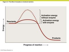 Energy of the product is lower than the energy of the reactants. Thus, the graph more closely represents catabolism.