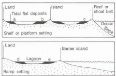 low energy tidal environments


- occur in protected areas along shorelines


- Tidal channels may be extensive


-major processes include progradation and channel migration