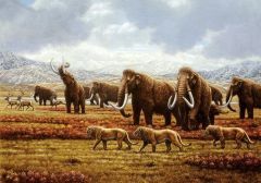 
65 mya – present, age of mammals (including us)