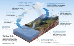 on Earth, the Rock Cycle, the Carbon Cycle, and the Hydrologic Cycle all work as stable systems