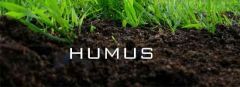 humus

the organic component of soil,formed by decomposition of leaves and other plant material by soil microorganisms