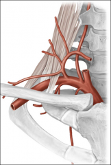 Name the major branches of the Subclavian A.