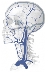 Outline venous drainage from the neck.