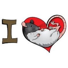 Love rat