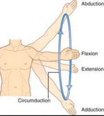 Circular Flexion, abduction, extension and Hyperextension in succession