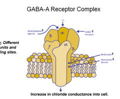 Chloride

When the channel is bound, the channel opens and allows chloride into the cell. This negative charge reduces excitability, hence why GABA promotes relaxation.