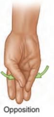 Movement of thumb across Palm to touch fingertips 