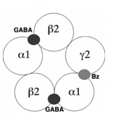 GABA to alpha and beta units
Benzodiazepines to alpha and gamma units