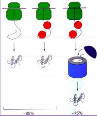 Chaperone proteins. They pick up the 
unfolded protein and enclose it in an isolated box that provides an environment favourable to protein folding, and then let it out once this is achieved.