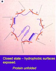 Hydrophobic surfaces