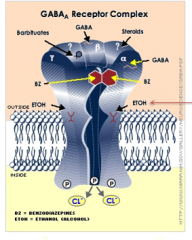 Ethanol has a receptor site on GABA-a / chloride ion channel