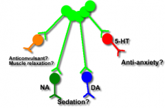 5HT inhibition = anti-anxiety
Both NA and DA are excitatory and can produce sedation/anti-anxiety