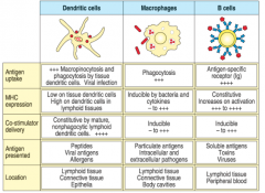 1. B-cells
2. macrophages
3. dendritic cells (most important APC for initiation of T cell response)