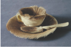 Object (Le Déjeuner en fourrure). Meret Oppenheim. 1936 C.E. Fur-covered cup, saucer, and spoon.