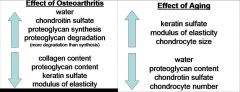 Both aging cartilage and osteoarthritic cartilage share the common change of decreased proteoglycan content as shown in  A. states that OA is not an inevitable consequence of aging but rather, aging increases the risk of OA because of a decrease i...
