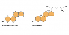 Here is a picture of the sterol ring on the left and cholesterol on the right.  Both of them have a hydroxyl group at the bottom, which is the only part of the molecules that is hydrophilic.  Otherwise, they are both made out of carbon and hydroge...