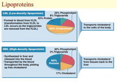 The figure on this slide features low-density lipoprotein (LDL) and high-density protein (HDL).  As triglycerides are removed from VLDL in the blood, VLDL becomes LDL.  LDL is enriched in cholesterol, and its job is to transport cholesterol to the...