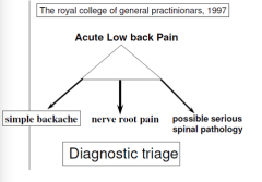 Acute lage rugpijn
- Simpele rugklachten
- Neurologisch: 'nerve root pain' 
- serieuze pathologie