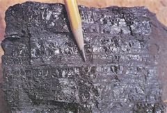 typically a banded rock.  In this photo you can see bright and dull bands Its coloration can be black or sometimes dark brown; often there are well-defined bands of bright and dull material within the seams
streak is black to brownish black