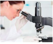 Inspect cells througha microscope to see if look healthy and undifferentiated.
