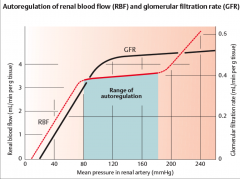 How does GFR remain constant??