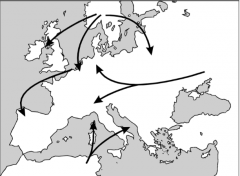 Use the map below of Europe between the ninth and eleventh centuries to answer the questionthat follows.

The arrows on the map best illustrate:

																					A. 													major paths of populationmigration.					

B.  major trade and tr...