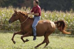 Pferd reiten (Substantiv und Verb)