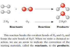 An example is the reaction between hydrogen
and oxygen molecules that forms water. 

The coefficients indicate the number of molecules involved;
for example, the coefficient 2 in front of the H2 means that the reaction starts with two 'molecul...