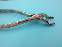 Maxillary surgical forceps